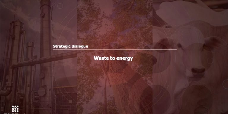 Strategic Dialogue – Waiste to Energy