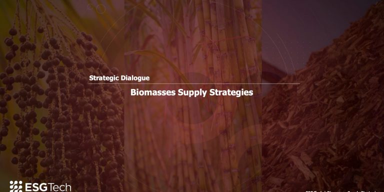 Screen Shot 2022-11-24 at 12.16.45