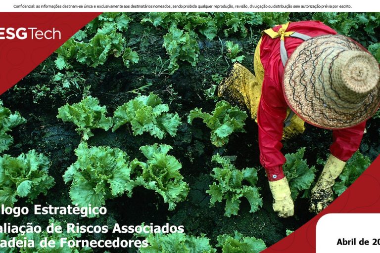 Diálogo Estratégico DIAGNOSTICO_RISCOS_FORNECEDORES_capa