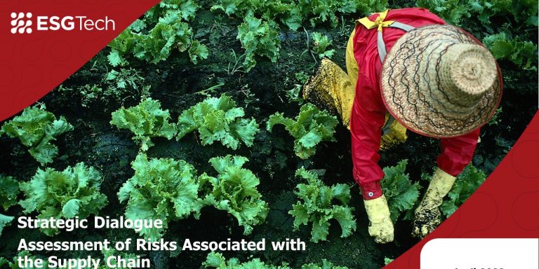 Strategic Dialogue Supply Chain Risks Diagnosis_capa